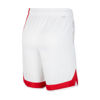 Picture of BROOKLYN NETS HWC EDITION SHORT